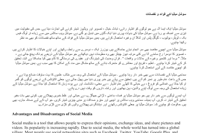 provide native urdu translation service